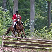 jagt i jægersborg hegn pony